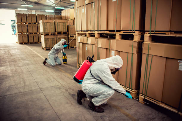 Best Mosquito Control Services  in Bluffton, SC
