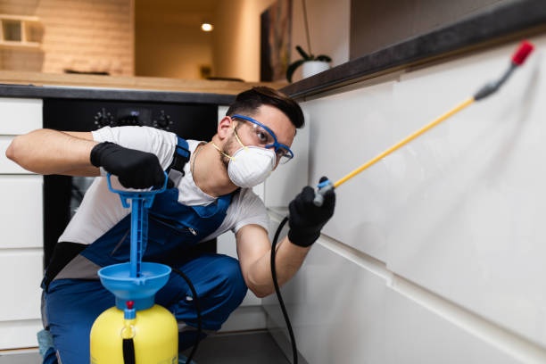 Best Cockroach Control Services  in Bluffton, SC