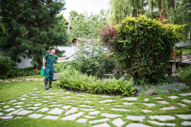 Best Best Pest Control Companies  in Bluffton, SC