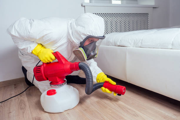Best Bed Bug Extermination  in Bluffton, SC