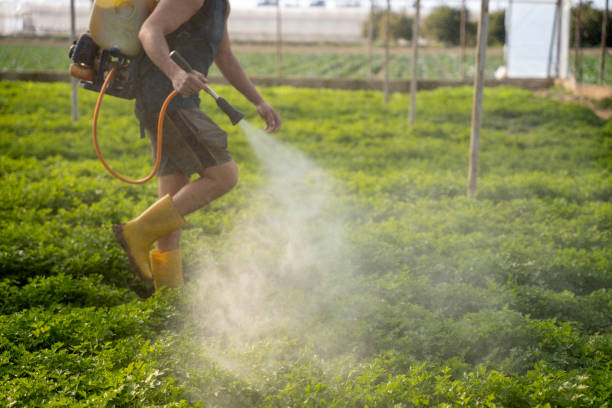 Best Best Pest Control Near Me  in Bluffton, SC