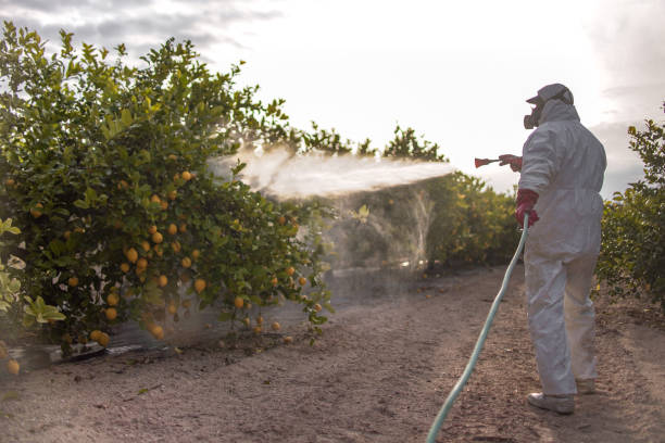 Best Commercial Pest Control Services  in Bluffton, SC