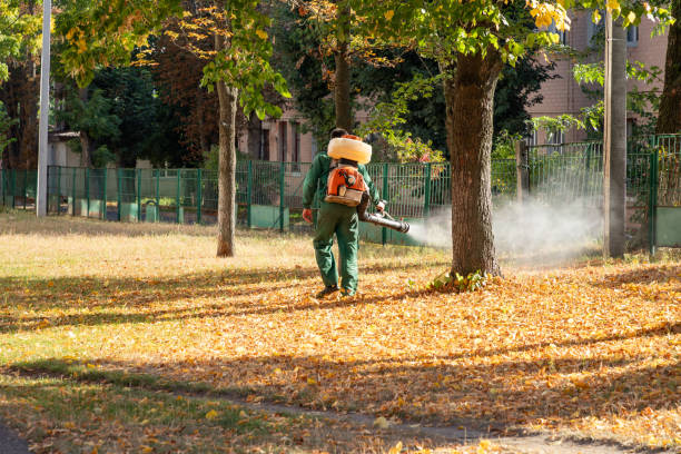 Best Wasp Removal Services  in Bluffton, SC