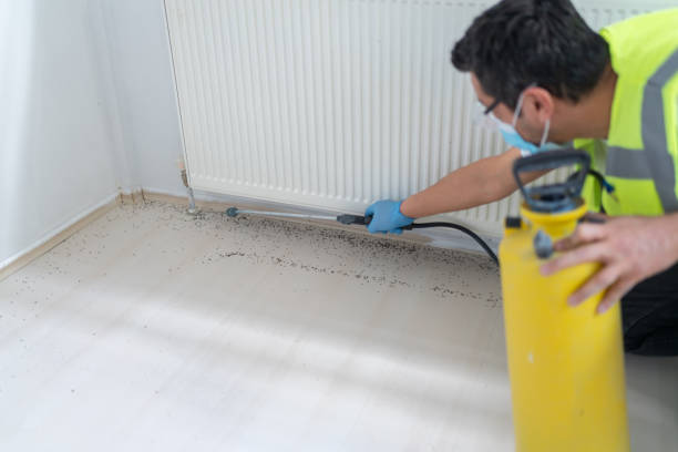 Reliable Bluffton, SC Pest Control Solutions