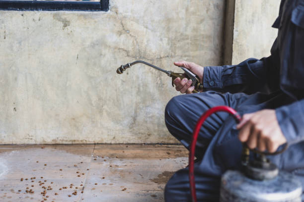 Best Pest Prevention Services  in Bluffton, SC
